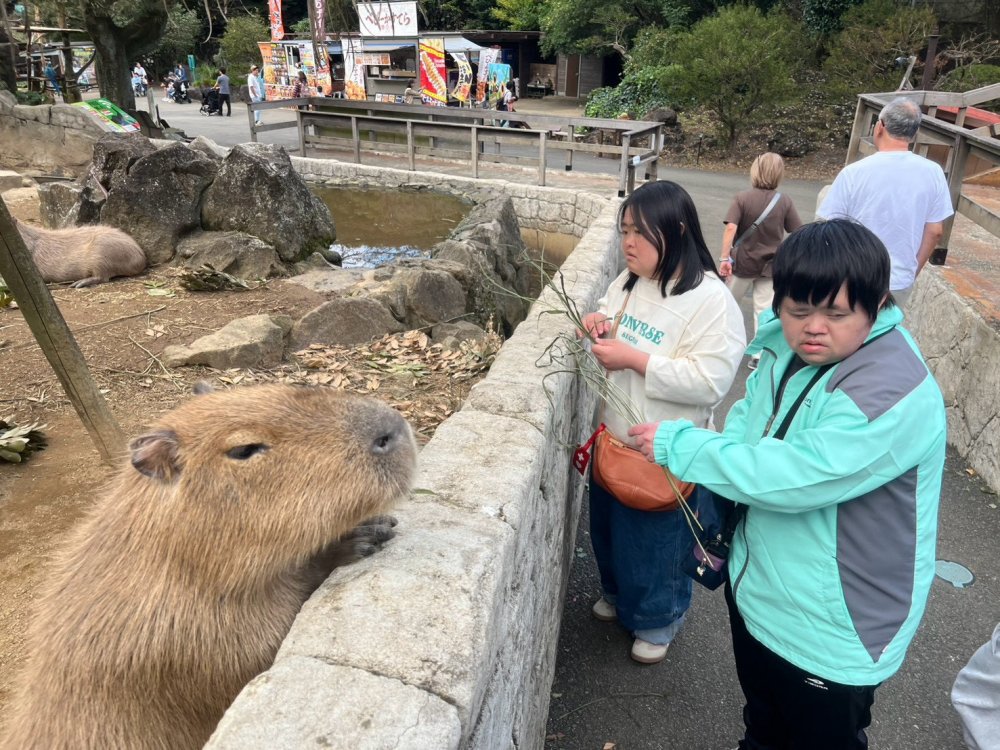20261027100414.10.22-23 伊豆旅行_261025_27.jpg 20261027100414.10.22-23 伊豆旅行_261025_27.jpg